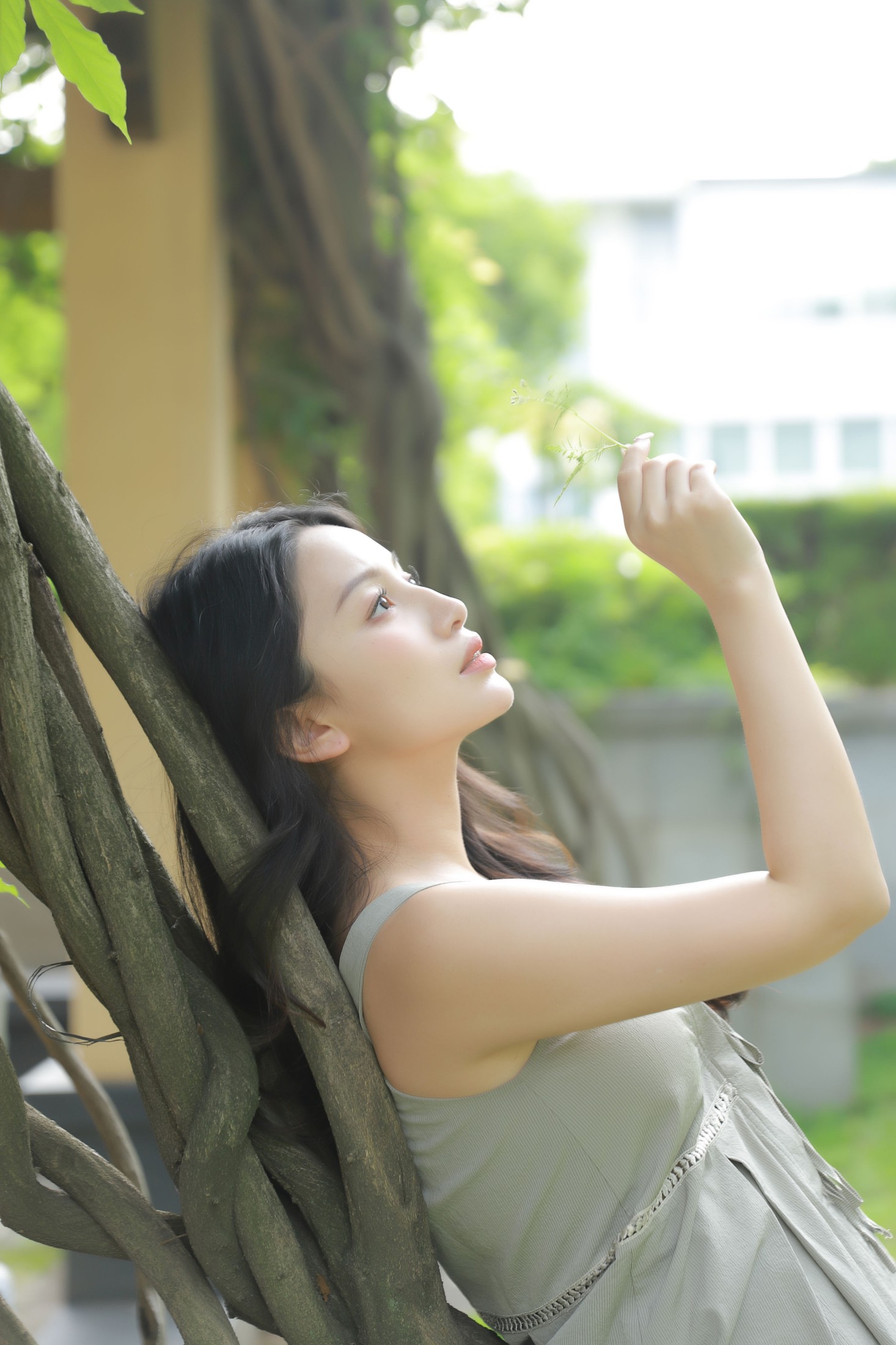 婧仔jinns – 《绿荫》[34P]